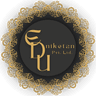 Placement Mastery Program